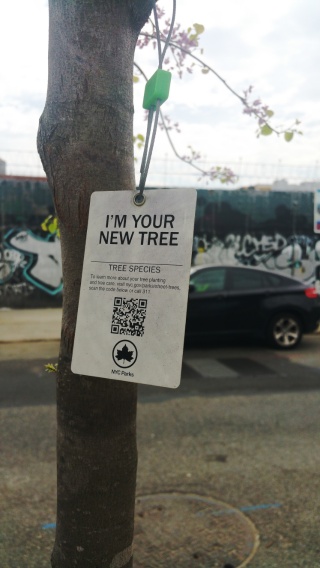 Arbre_p.jpg