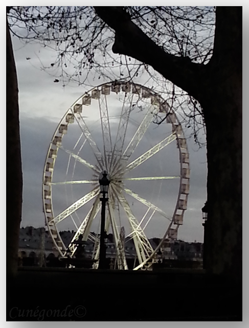 roue.jpg