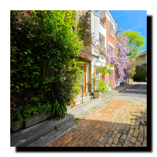 En premier plan immeuble avec des olantes grimpantes, dernier plan immeuble avec de la glycine puis un arbre.