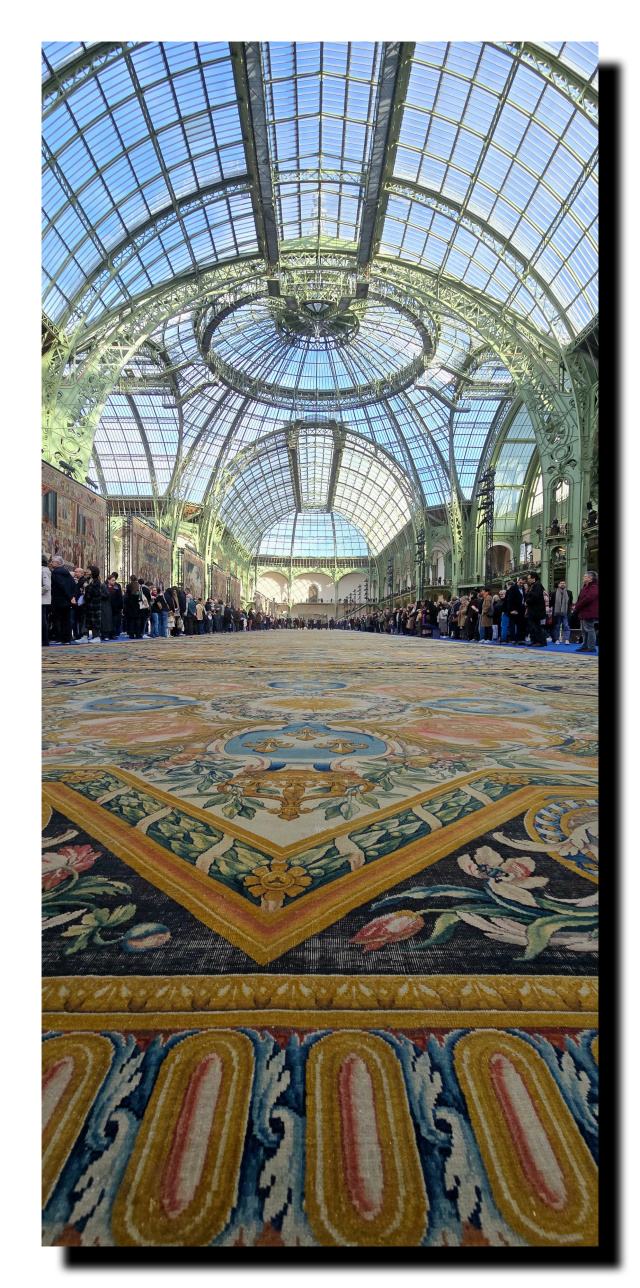 Au premier plan un tapis, puis la verrière du Grand Palais