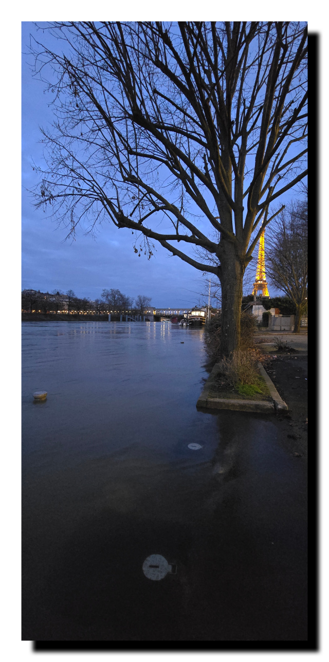 En premier plan la Seine qui a débordé, dans la nuit, puis un arbre à droite et au dernier plan la tour Effeil éclairée.