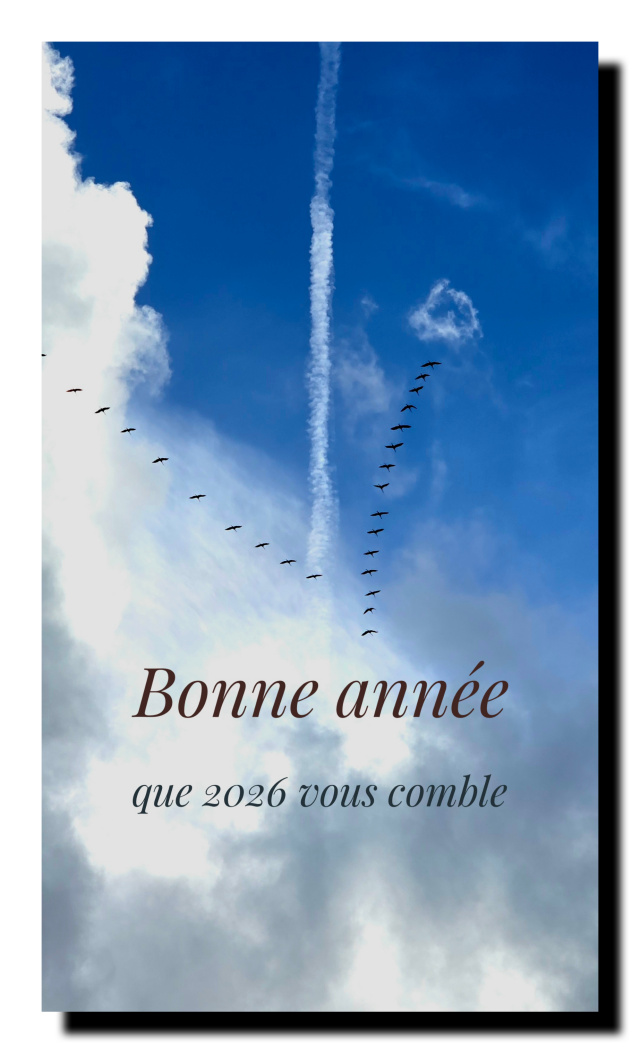 Dans un ciel en partie bleu sur le haut de la photo, et nuageux sur le bas, un trait blanc laissé par un avion forme une flèche avec un vol d'oiseau en V. Puis Bonne année que 2026 vous comble.