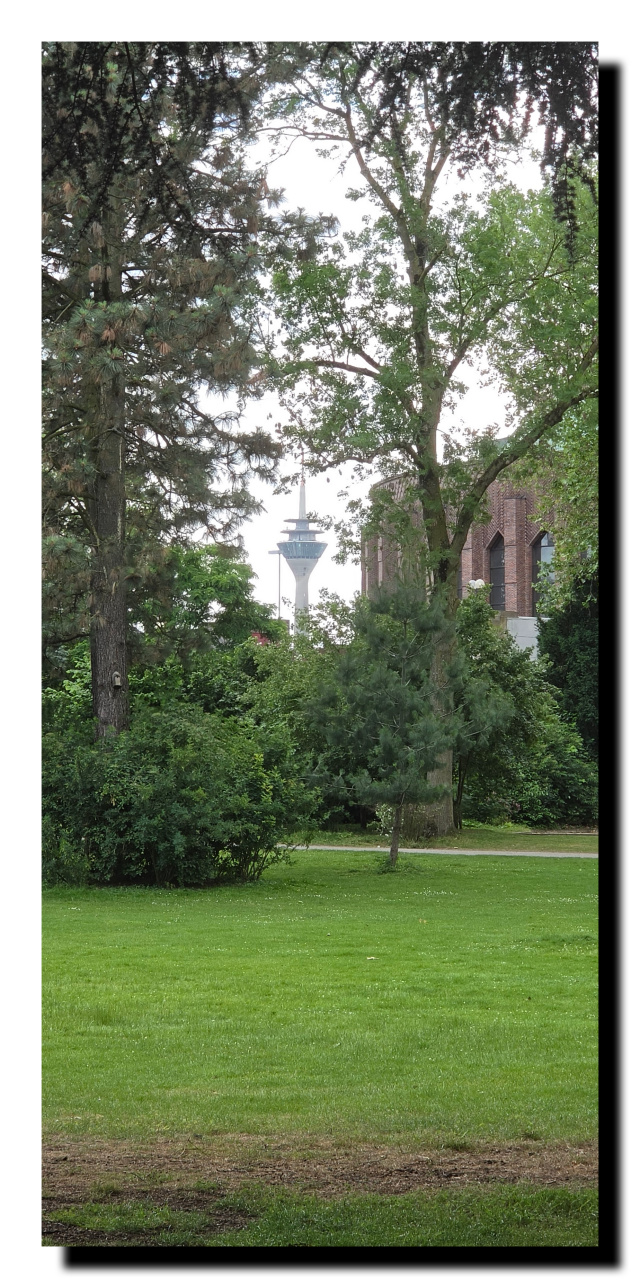 Un parc, au loin entre 2 arbres, on aperçoit la tour de la télévision de Dusseldorf