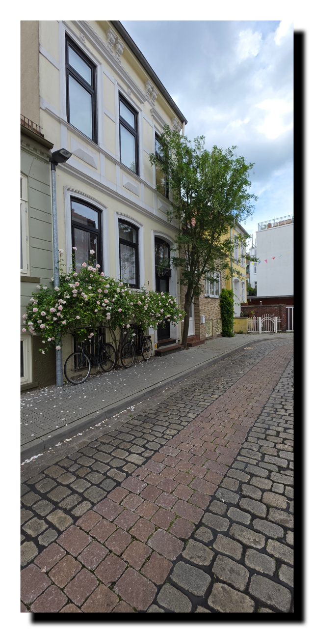 Immeuble dans le quatier de Viertel, abec 2 vélos posés contre sa façade blanche, et un rosier rose juste au-dessus des vélos.