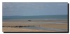 Plage de Cabourg, au loin des chevaux
