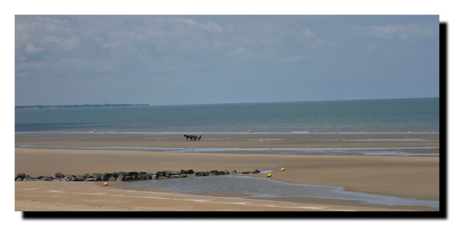 Plage de Cabourg, au loin des chevaux