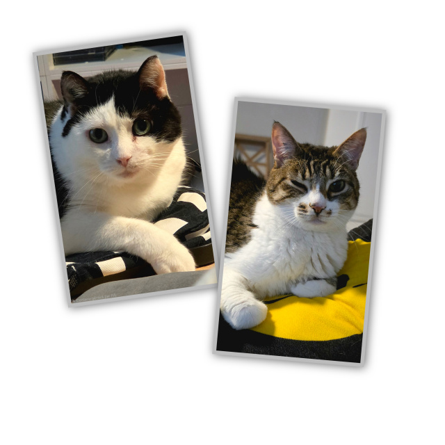 Une photo d'Ada et de Fil qui fait un clin d'œil